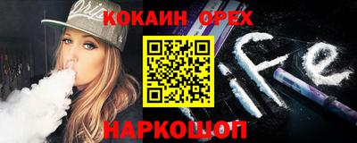 молекула духа Кингисепп