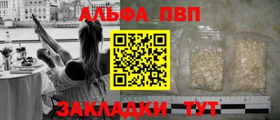 молекула духа Кингисепп