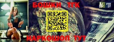 молекула духа Кингисепп