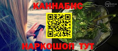 молекула духа Кингисепп