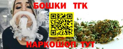 молекула духа Кингисепп