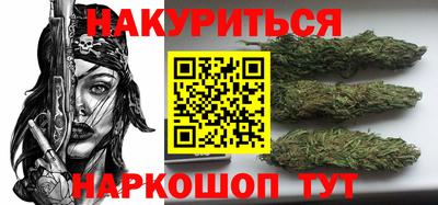 молекула духа Кингисепп