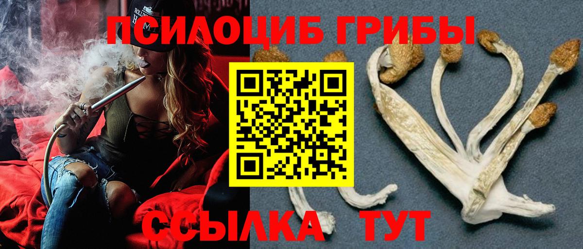 Псилоцибиновые грибы Psilocybe  Вход с VPN  Псилоцибиновые грибы прущие грибы  Ликино-Дулёво 